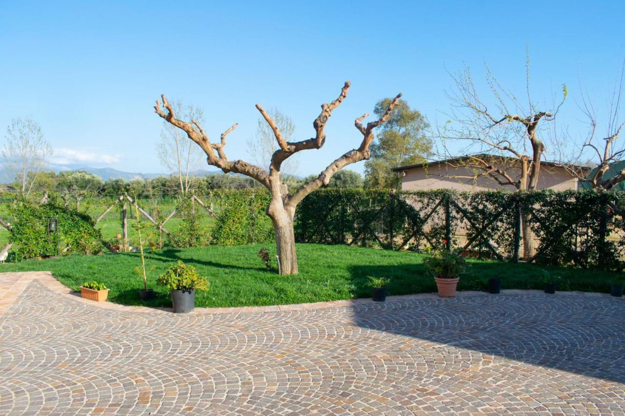 Camera Iris - B&B Antico Casale Monte San Biagio Eksteriør bilde