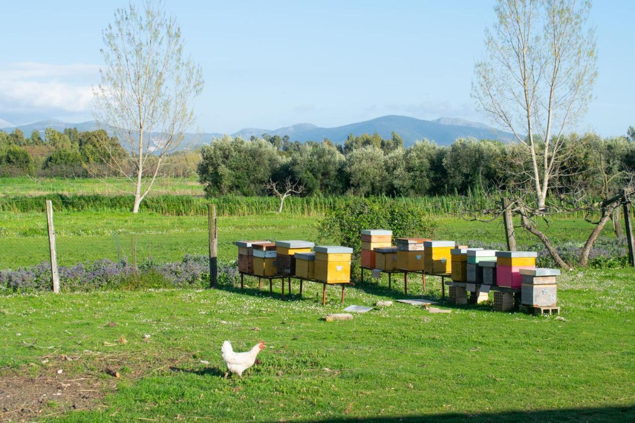 Camera Iris - B&B Antico Casale Monte San Biagio Eksteriør bilde